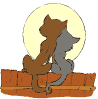 chats amoureux