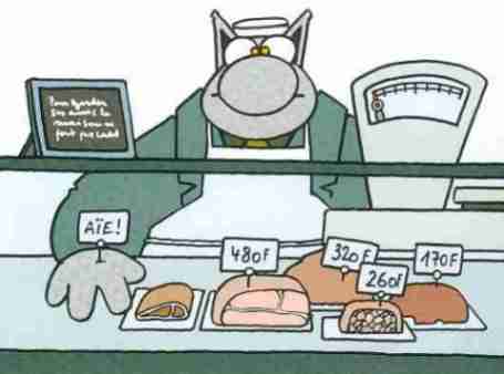 Lechat boucher
