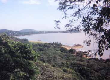 Paysage de Guyane