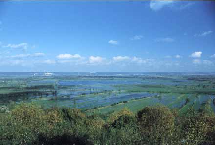 Le marais vu du plateau