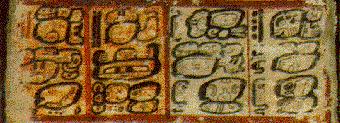 codex